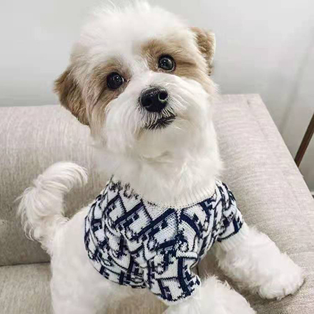 Dior 犬の服 セーター 秋冬対応 人気