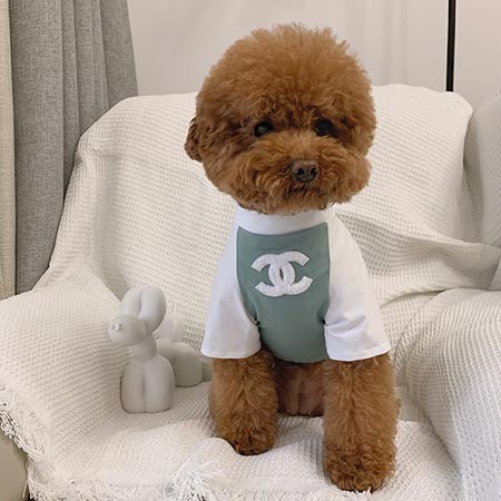 chanel ワンちゃん服 犬Tシャツ 送料無料