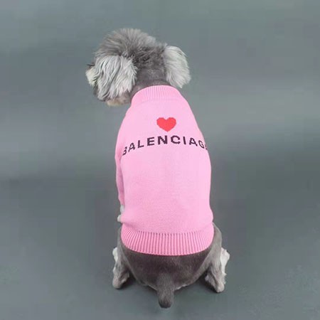balenciaga ペット服 セーター シンプル風