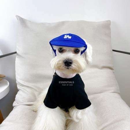 Essentials 猫と犬 半袖 T シャツ 春夏用  ブラック