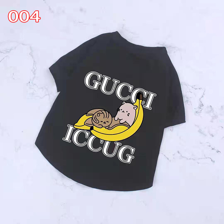 犬洋服 gucci