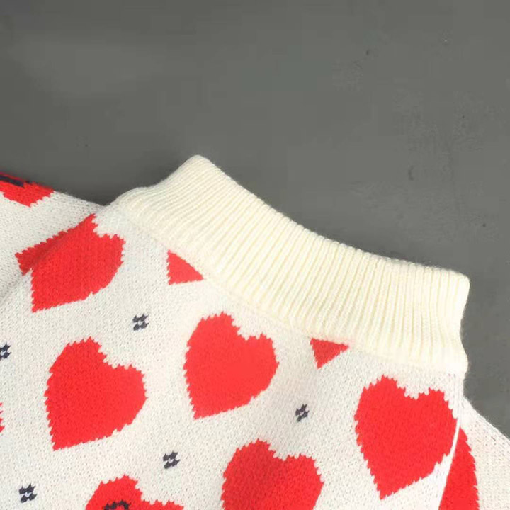 グッチ ワンちゃん服