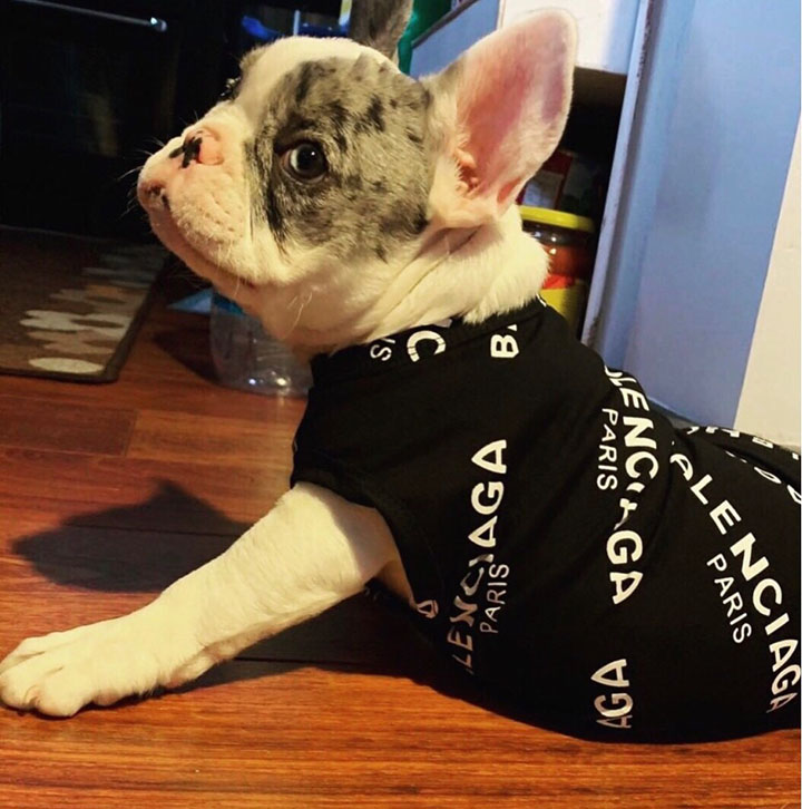 Balenciaga ペットウェア 犬猫汎用