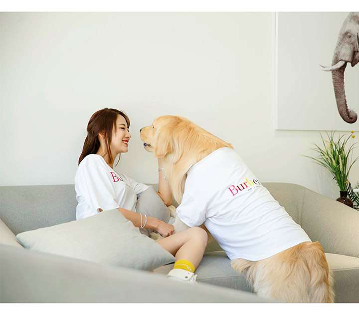 バーバリー  犬Tシャツ