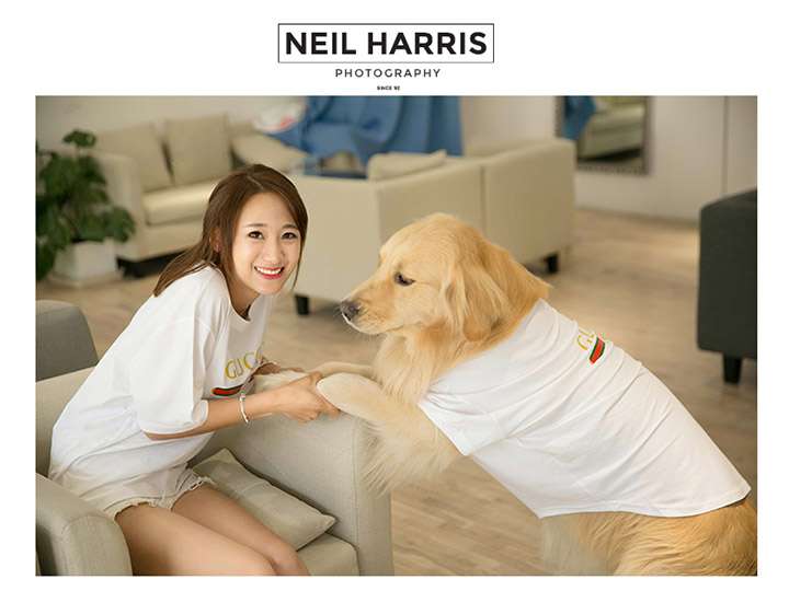 グッチ ホワイト 半袖 ペット用服
