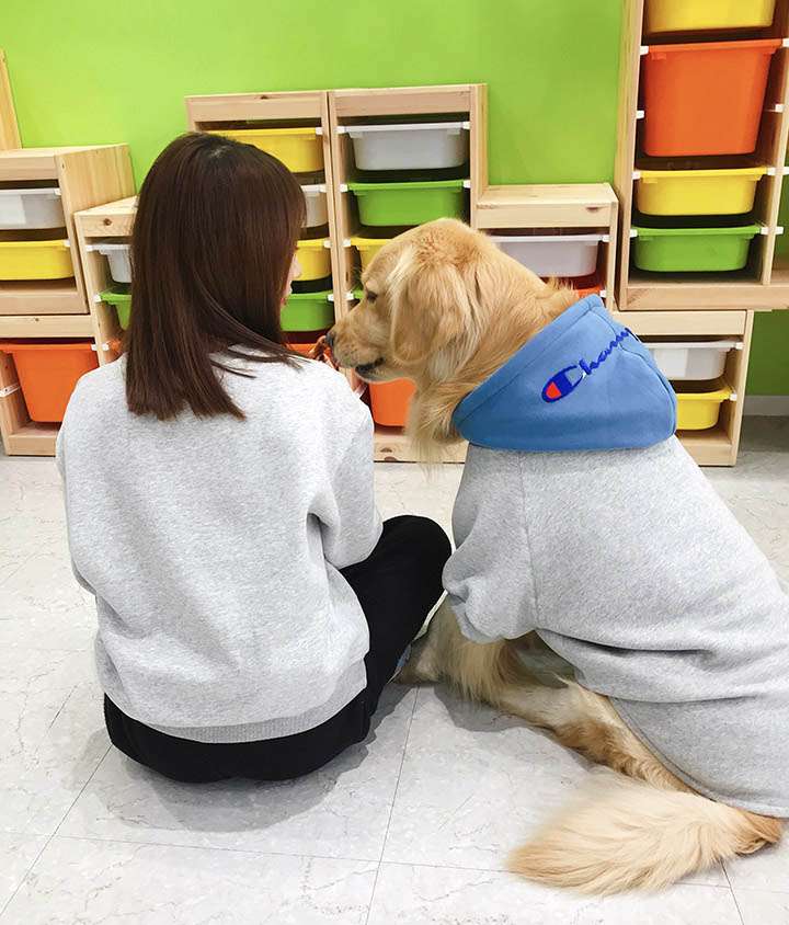 チャンピオン 犬とお揃いの服