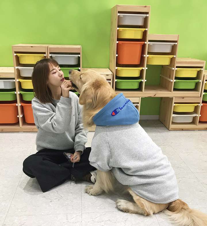 チャンピオン 親子服 犬