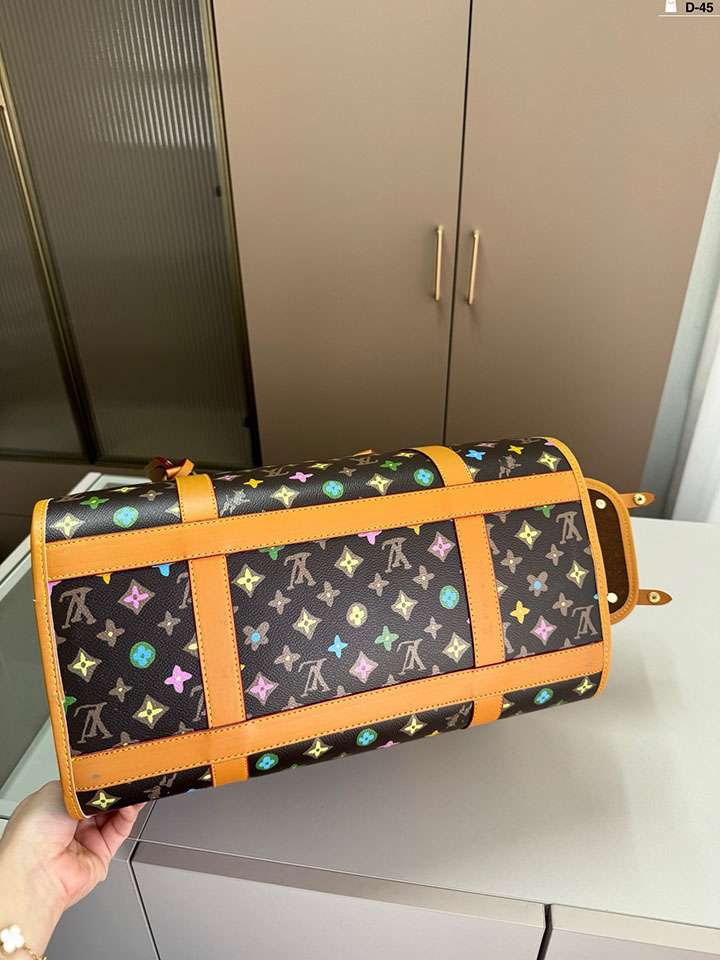 Vuitton 小型犬 キャリーバッグ