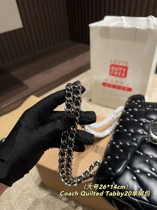 COACH ショルダーバッグ 20