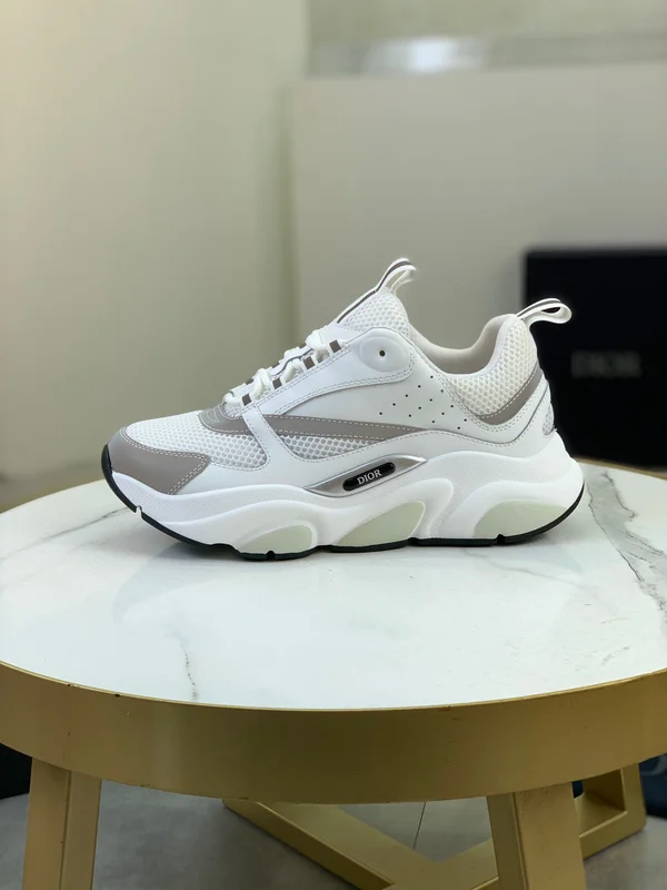 高级 ディオール B22