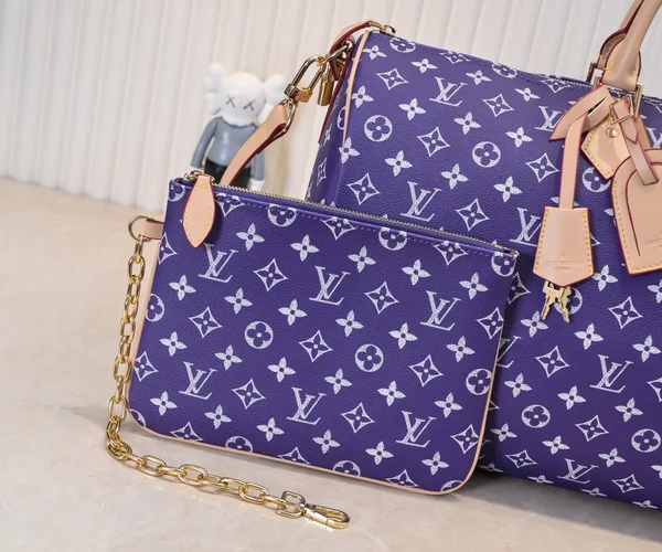 ルイヴィトン スピーディ P9 バンドリエール 50