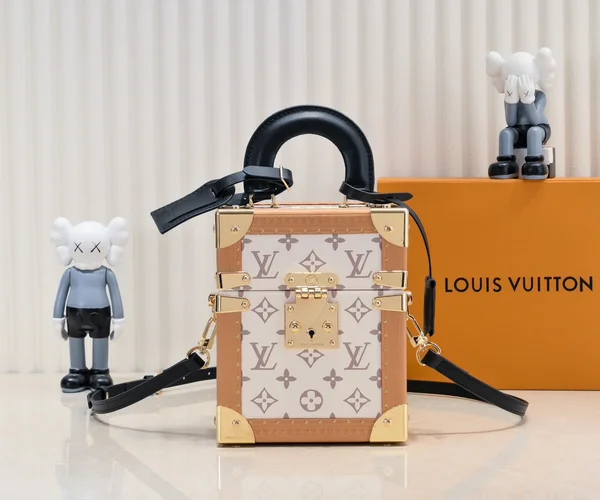 LOUIS VUITTON the Camera Box