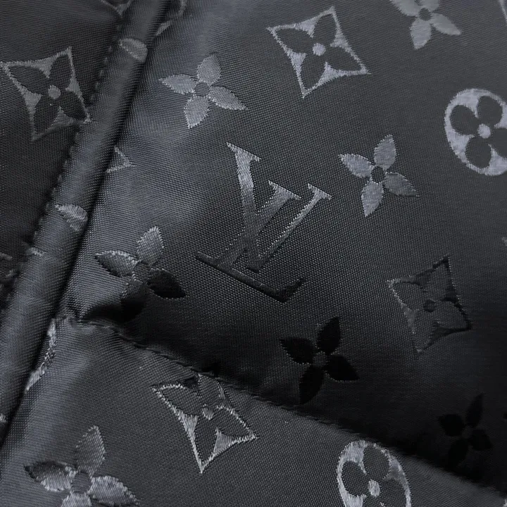 ルイヴィトン 厚手 ダウンジャケット