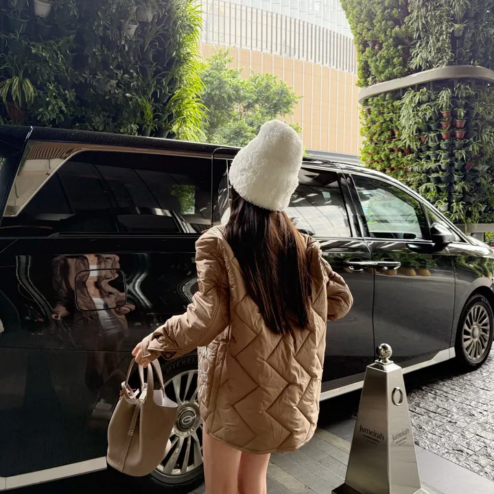 ロエベ 2025 ダウン