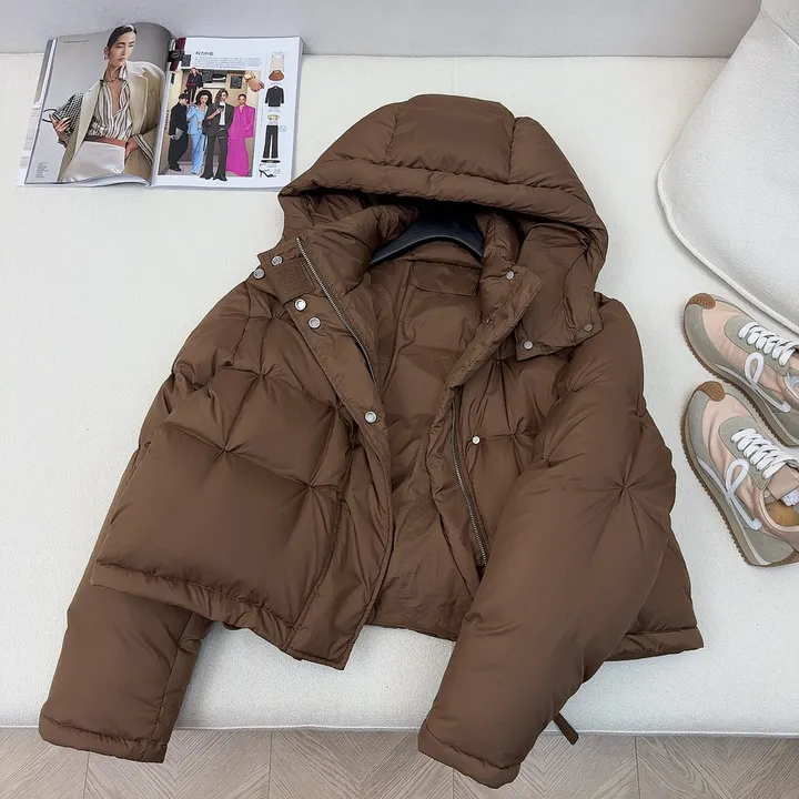 ロエベ ダウン ブラウン