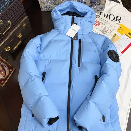 Dior x Descente x Peter Doig ダウンジャケット