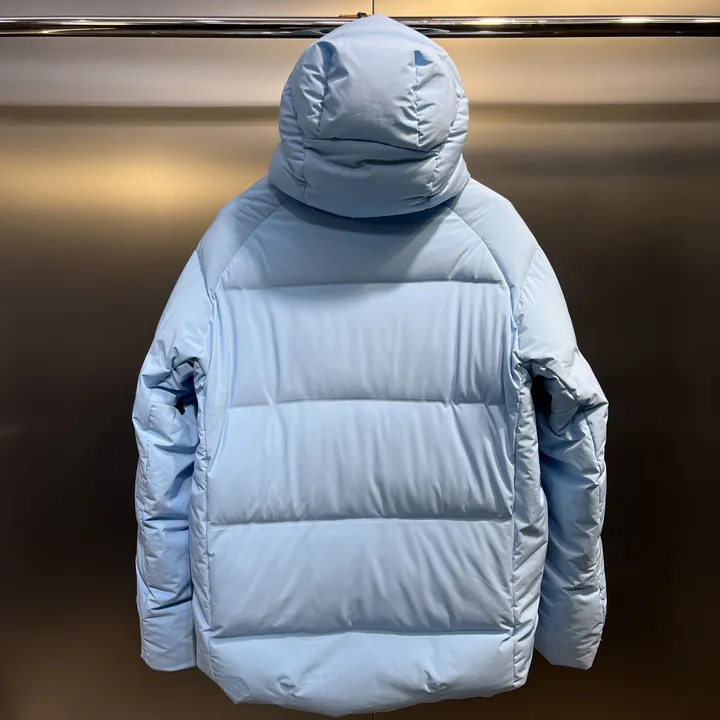 ディオール コラボ スキーダウンジャケット