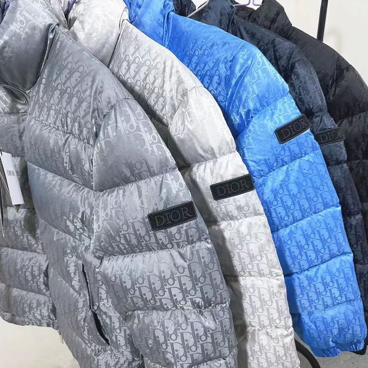 ディオール スタンドカラー ダウンジャケット