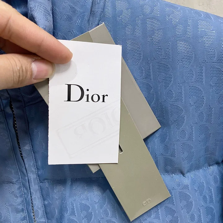 Dior メンズ ダウン