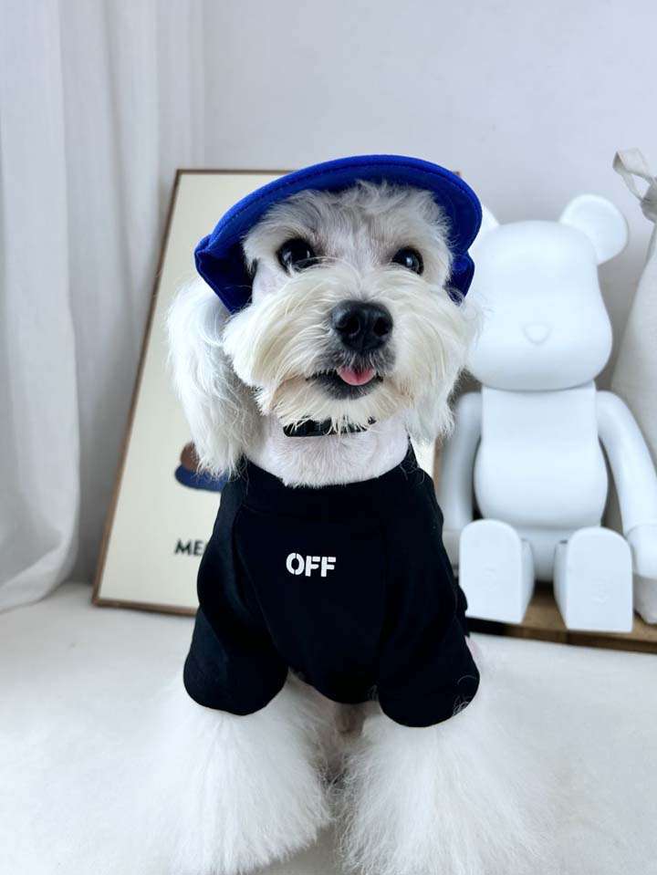 Off White ペットウェア