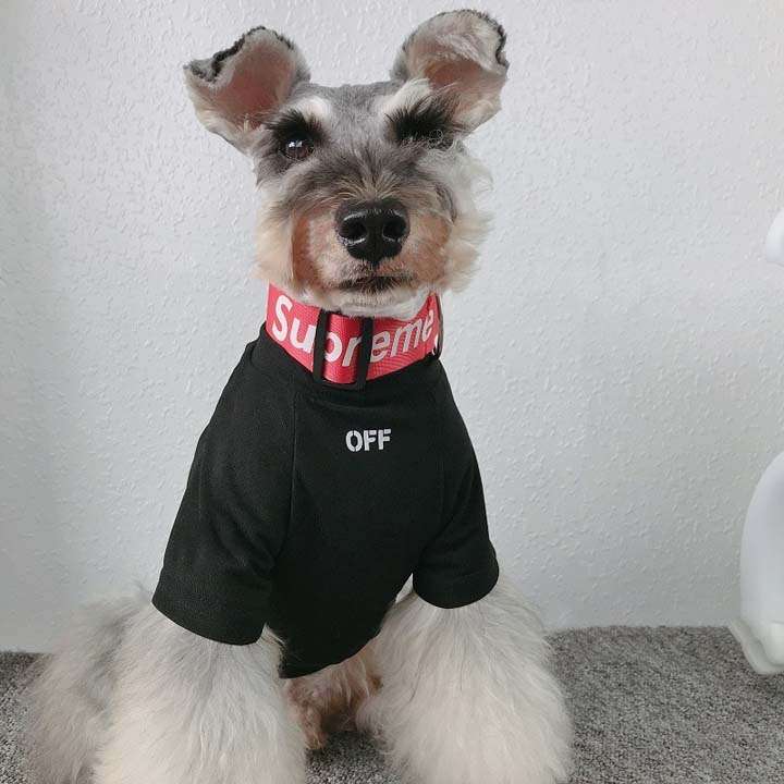オフホワイト ロゴ ペット服