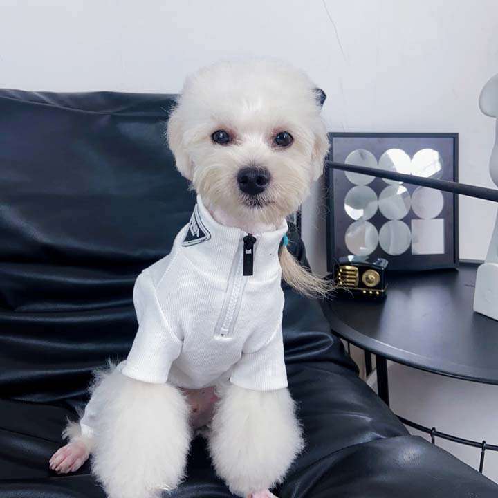 Prada 犬洋服 つなぎ
