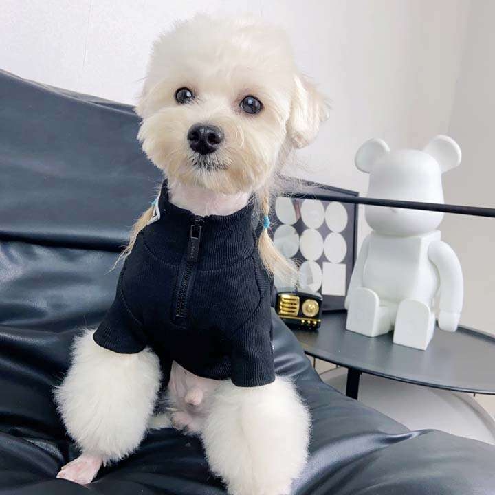 プラダ 犬の服 人気
