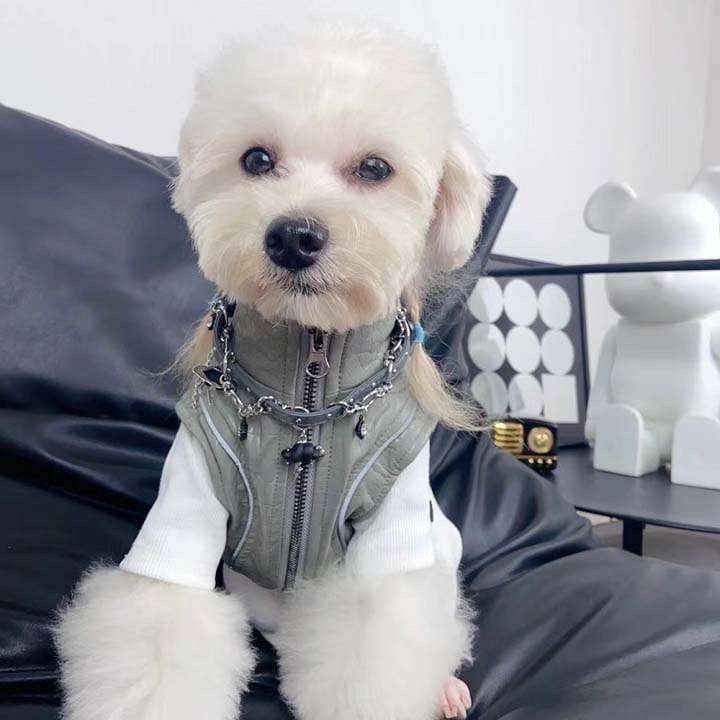 MONCLER 暖かい 犬服 アウター