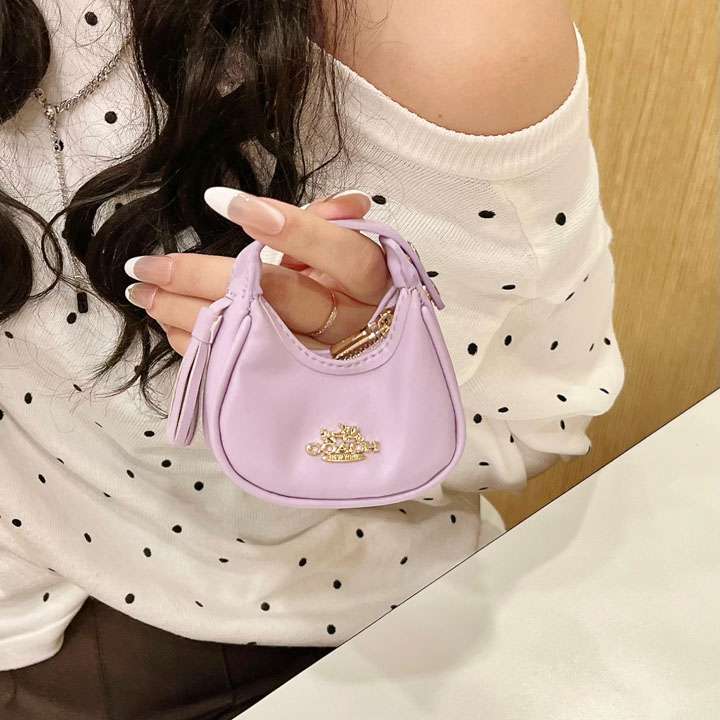 Coach airpods 5 小さな収納ポーチ